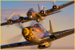 GUNFGTR_B17.jpg