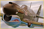 P_40.jpg