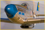 P_51D.jpg