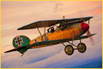 ALBATROS.jpg