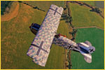 FOKKER_DVII.jpg